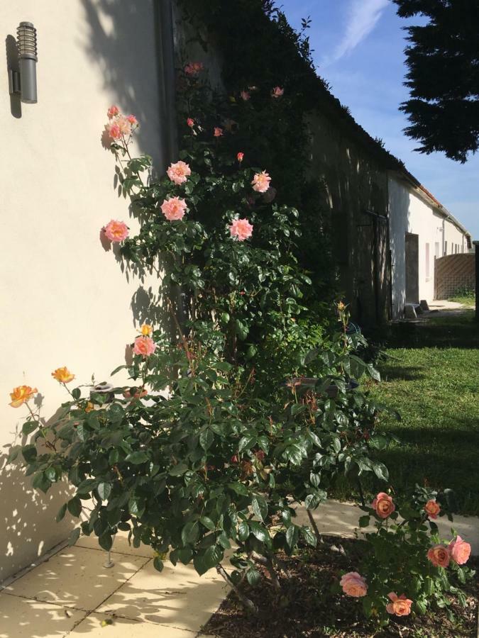 Ferme De Maillezais Bed and Breakfast L'Houmeau Buitenkant foto